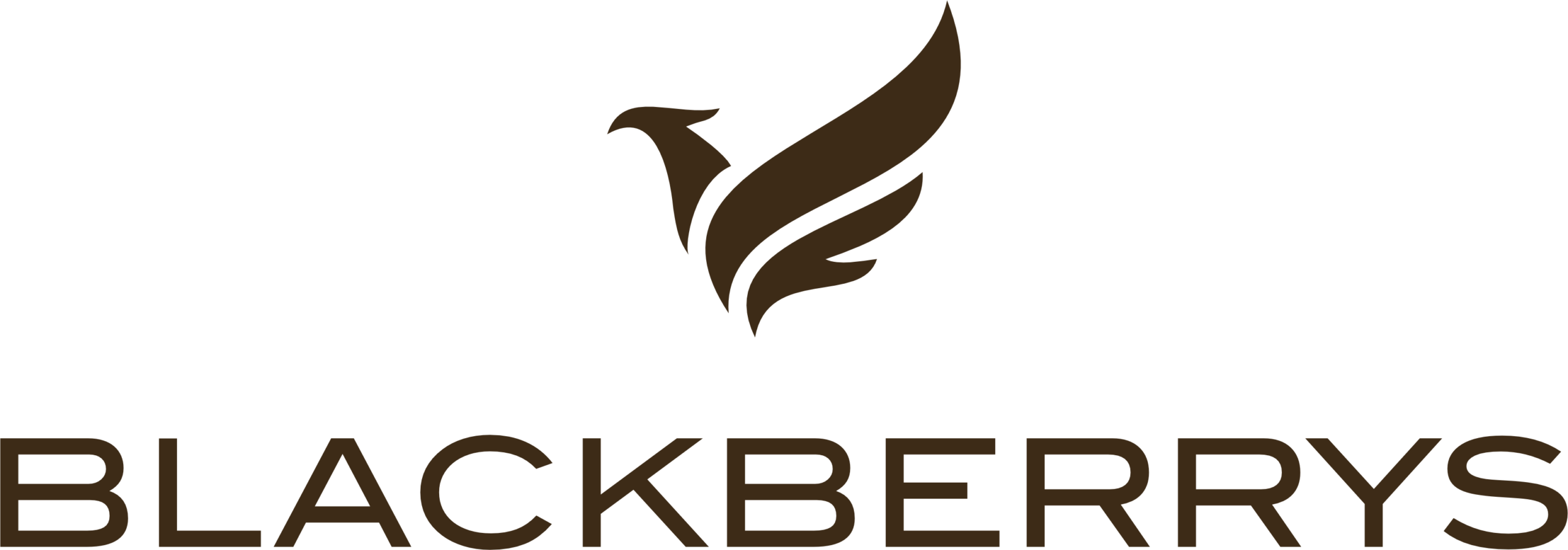 BLACKBERRYS LOGO